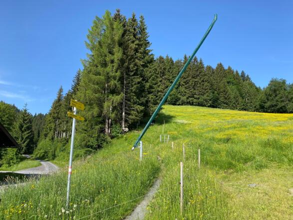 Hier startet der Aufstieg durch den Wald Richtung Schlossbergsee/Schlosserbergsee