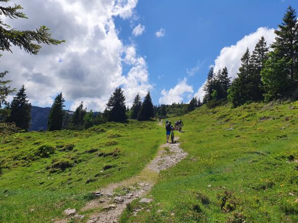 Am Gletscherweg zum Straubinger Haus