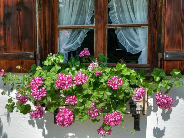 Ferienwohnung Steixner Tegernsee