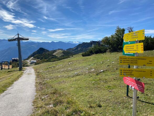 Abstieg von der Feuerkogel Bergstation. Nach der Liftstütze gehts links ausgeschildert auf Weg 832 durch die Latschen und kurz darauf durch den Wald Richtung Tal