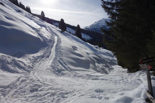 die Almflächen der Hochsinnalm