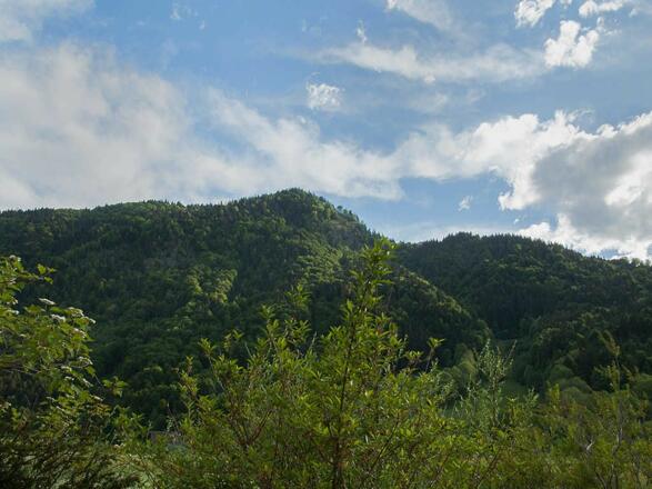 Ferienwohnung Ringberg in Rottach-Egern am Tegernsee