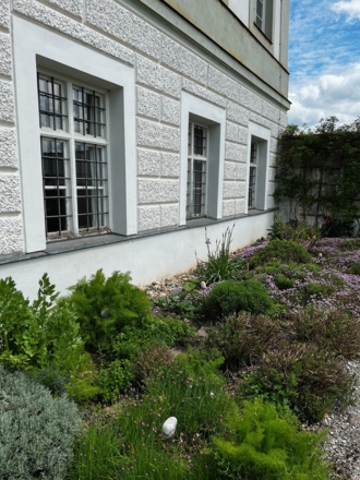 Der Kräutergarten in Schäftlarn