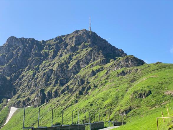 Blick von unterhalb der Harschbichlalm auf den Gipfelanstieg
