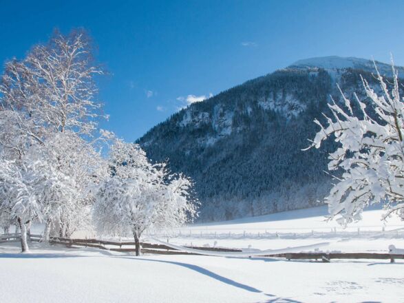 Ferienwohnungen Festlhof in Rottach-Egern am Tegernsee