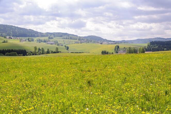 Herrliche Aussicht von der TraumArena