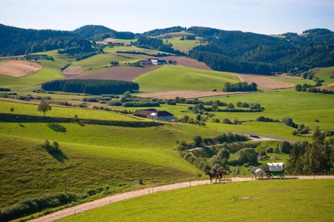 Moser Alm Kutschenrunde