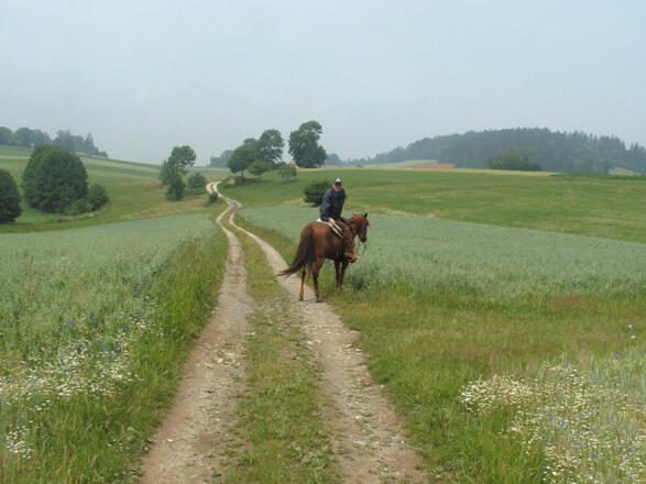 Große Kräuterland-Tour