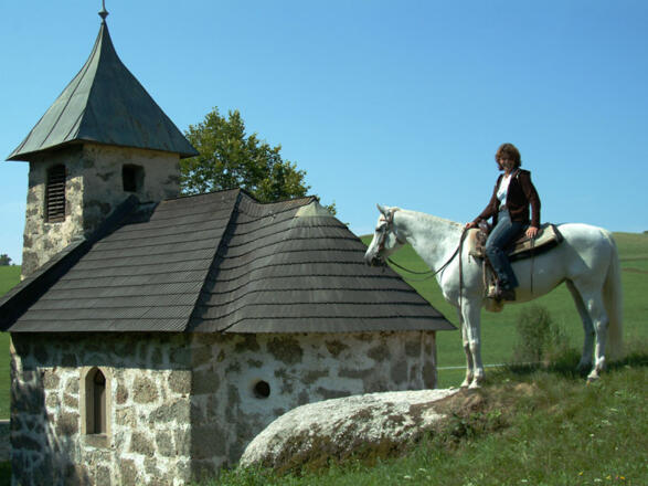 Einführungsrunde Wanderreiterhof Kern