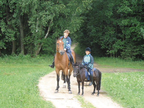 Reiterrast Eibensteiner