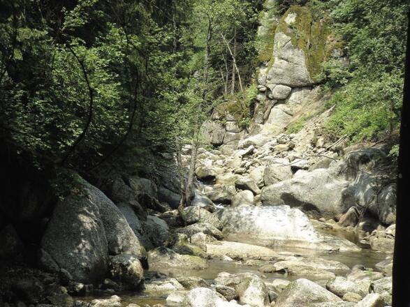 Mühlviertler Alm Tour