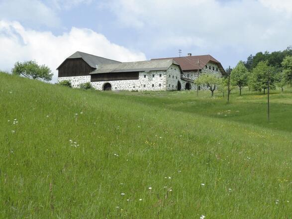 Kulturschätzer Tour