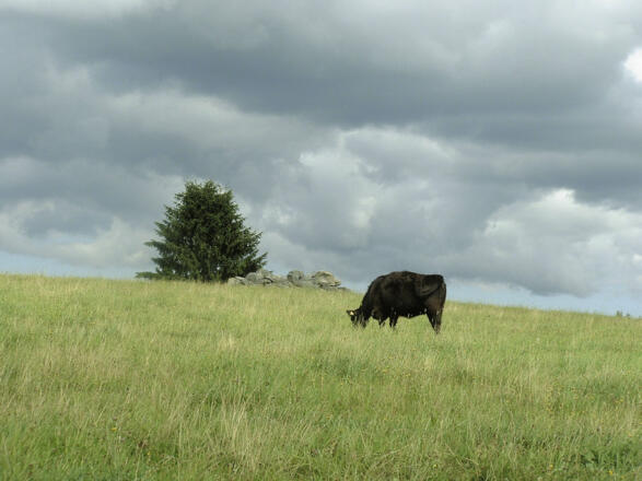 Große Hochland Tour