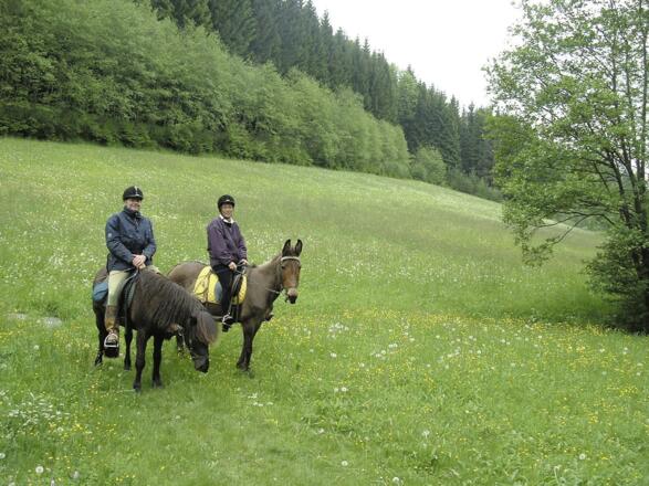 Kulturschätzer Tour