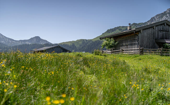 Kaser auf der Kammerlingalm