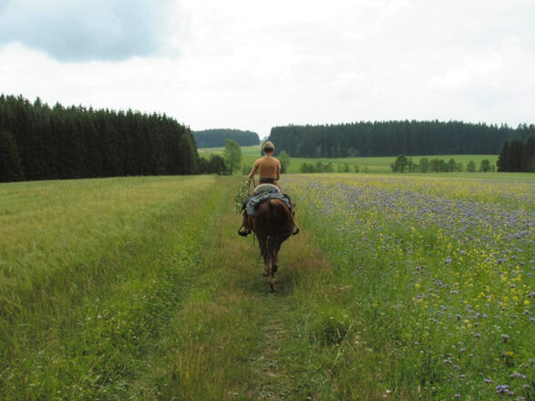 Große Kräuterland-Tour