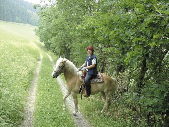 Kulturschätzer Tour