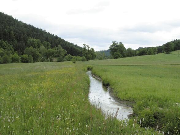 Kulturschätzer Tour