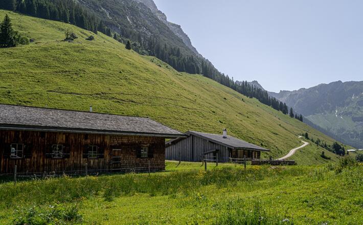 Almidylle auf der Kammerlingalm