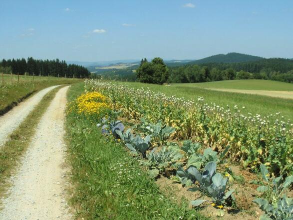 Große Hochland Tour