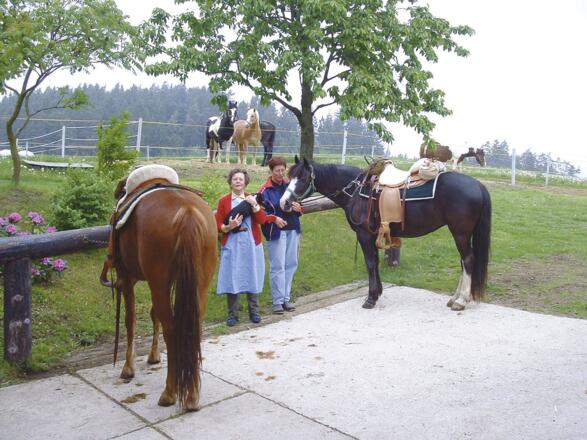 Kulturschätzer Tour