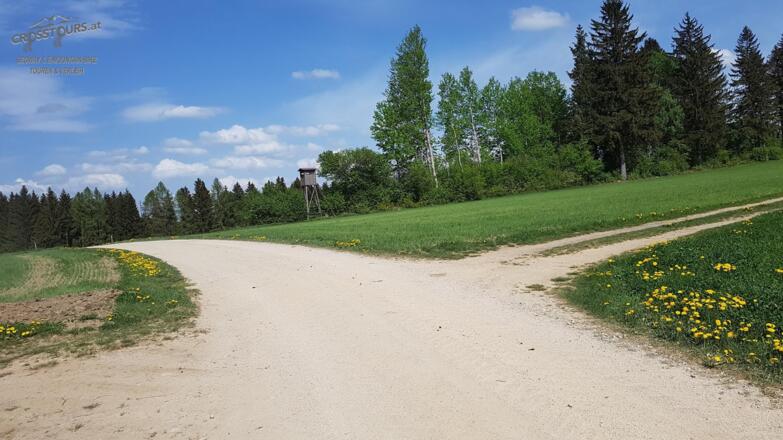 segway_tour_bad_leonfelden_miesenwald-runde_crosstours-at_falkensteiner_09