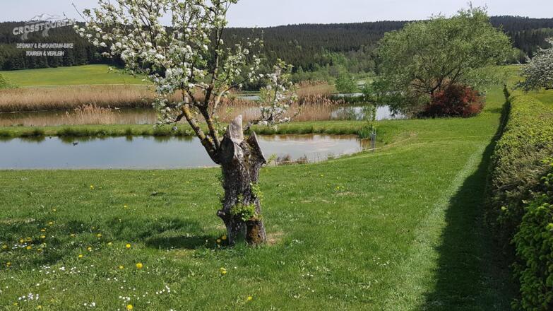 segway_tour_bad_leonfelden_miesenwald-runde_crosstours-at_falkensteiner_06