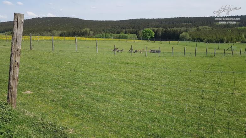 segway_tour_bad_leonfelden_miesenwald-runde_crosstours-at_falkensteiner_05
