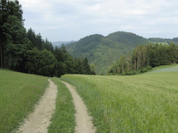 Kleine Aistland Tour
