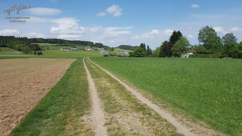 segway_tour_bad_leonfelden_miesenwald-runde_crosstours-at_falkensteiner_03