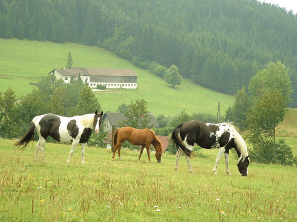 Große Grenzlandtour