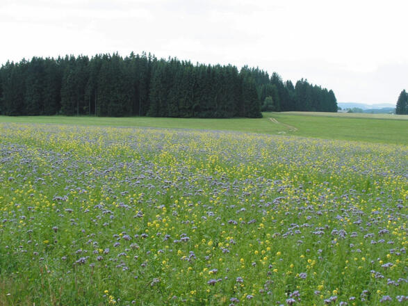 Kleine Kräuterland Tour