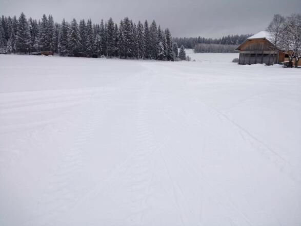 Skatingloipe in Sandl