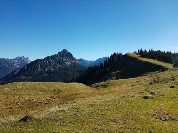 Pure Wanderfreude auf dem Schönkahler