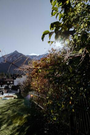 Ausblick vom eigenen Garten auf die Brecherspitz