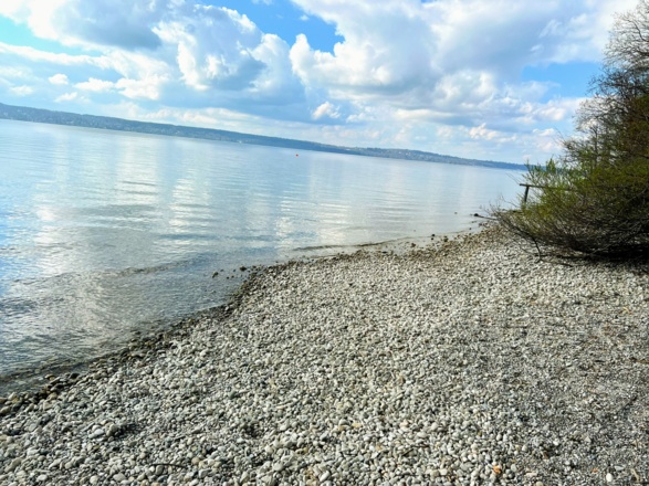 Blick auf den Starnbergersee