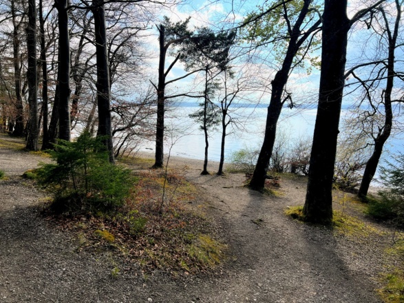 Weg zum Kiesstrand