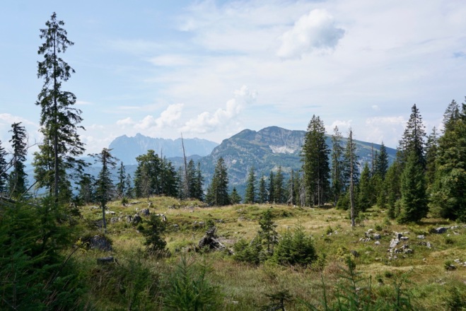 Blick zum Wilden Kaiser und Unterberghorn
