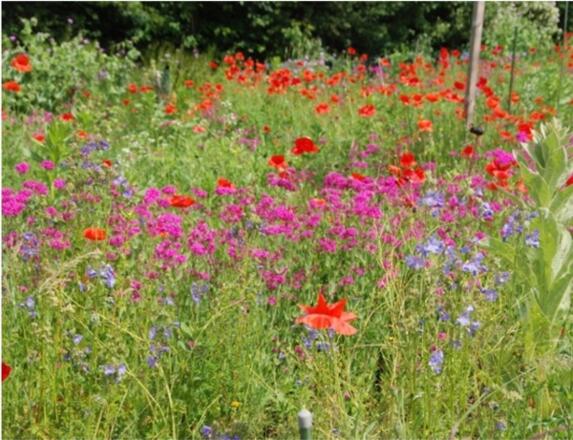 Lehr- und Krautgarten Eglfing