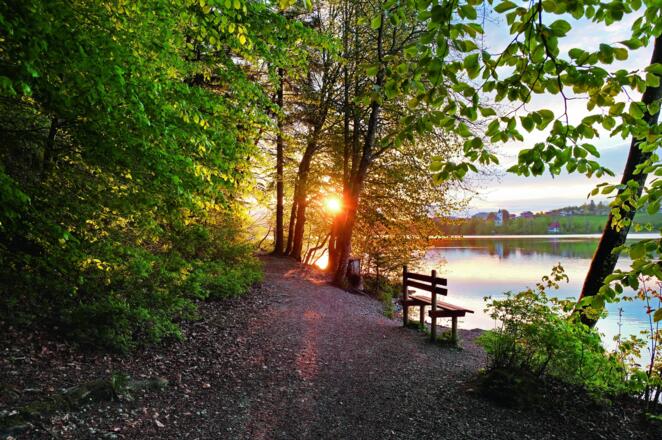 Rundwanderweg um den Weißensee