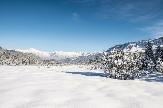 Das Hochmoor vom Hörnlepass im Winter