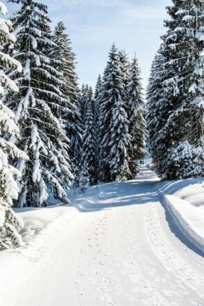 Winterwanderweg am Hörnlepass Richtung Riezlern