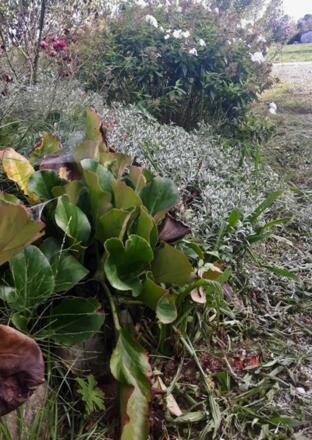 Privatgarten "Neihausmo"