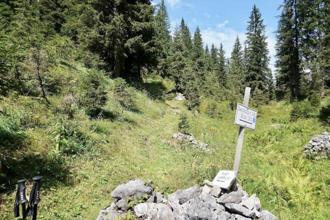 Wegeinmündung - der linke kommt von der Neualm