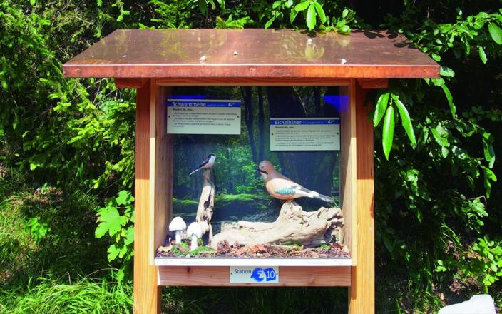 Infokasten der Station 10 des Vogellehrpfads
