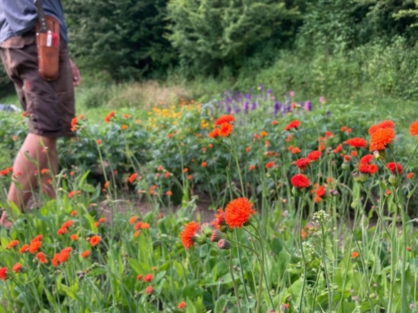 Kapellgarten Jaudenmühle