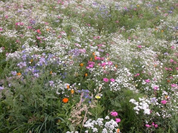 Lehr- und Krautgarten Eglfing