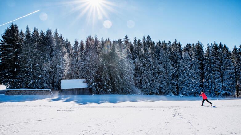 Langlaufen im Mühlviertel