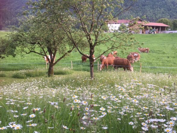 Blick von der Terrasse
