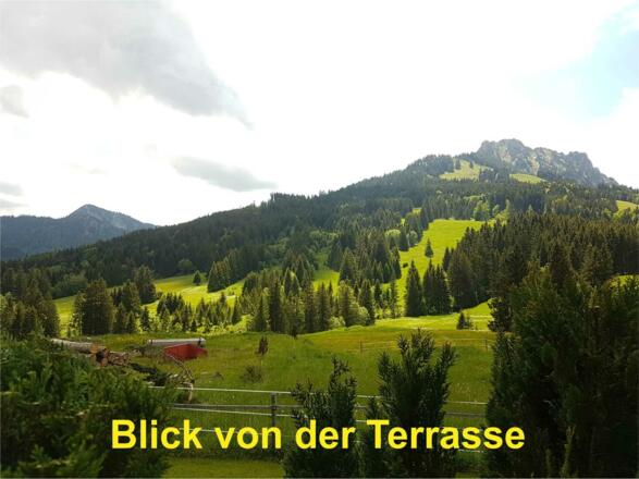 Herrlicher Ausblick von der Terrasse der FeWo Rohrmooshöfle 1